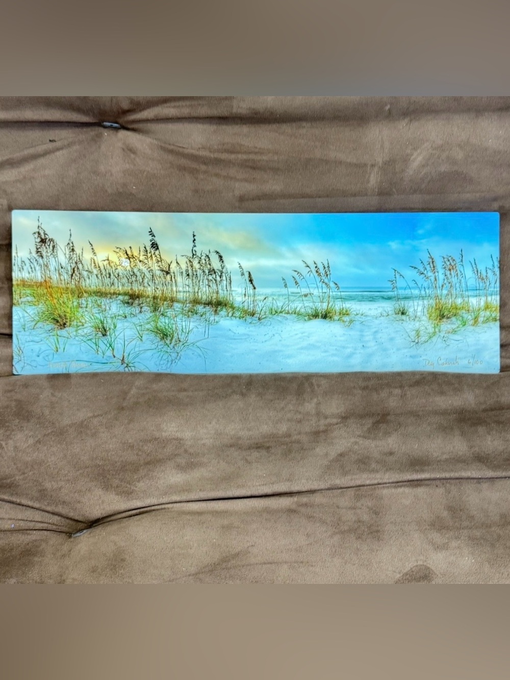 Doug & Leah Cavanah PANORAMIC Metal Print "Beach Dunes” Wall Art